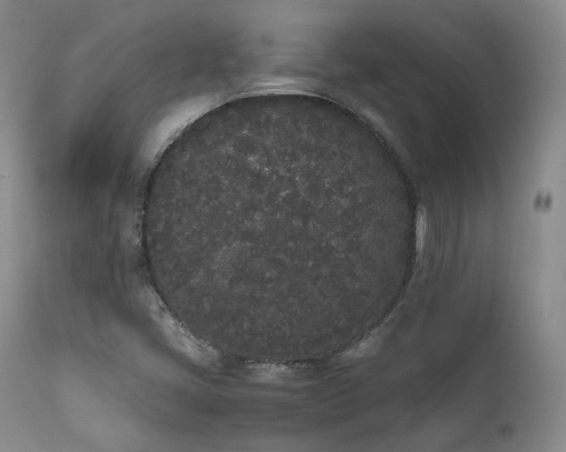 X0000111451405200907131318