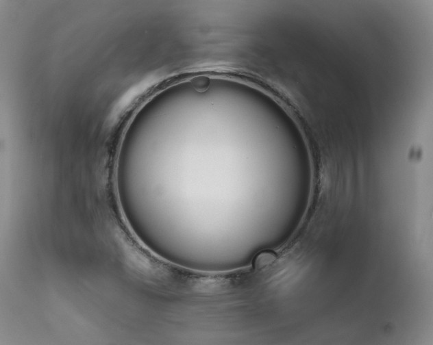 X0000111451406200907131318