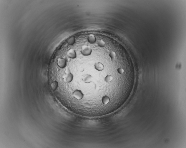 X0000111451409200907131318