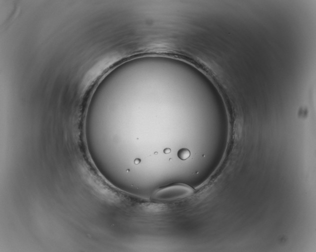 X0000111451410200907131318