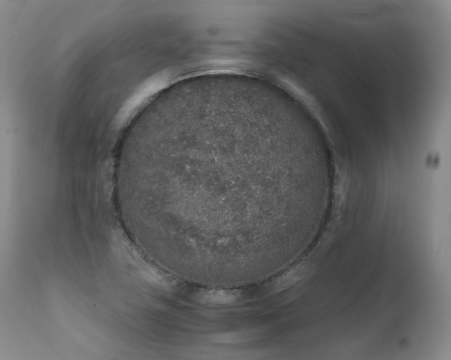 X0000111451411200907131318