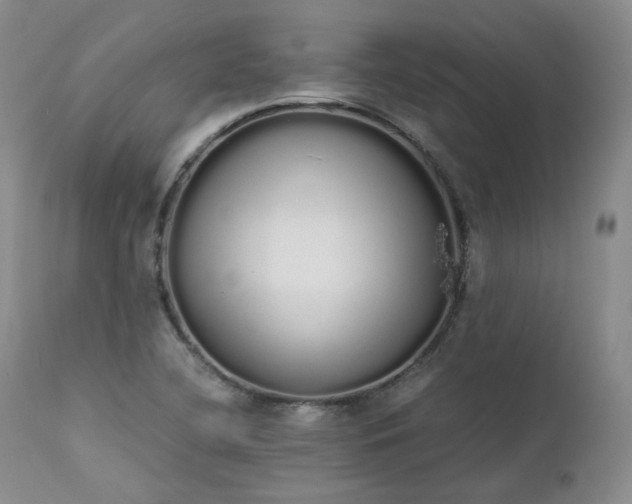 X0000111451412200907131318