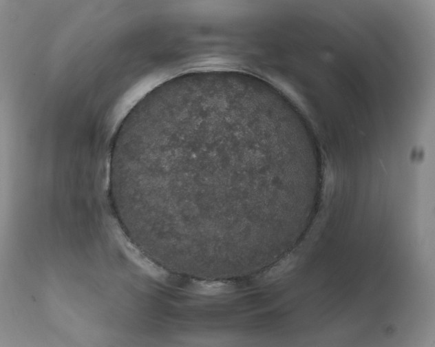 X0000111451413200907131318