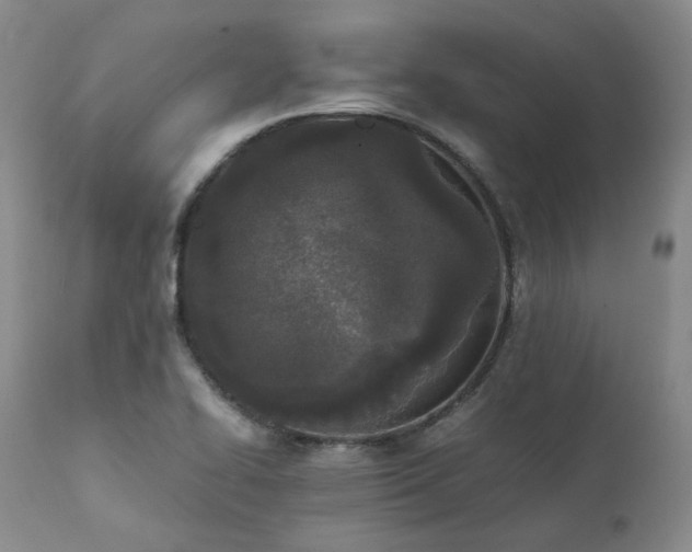 X0000111451414200907131318