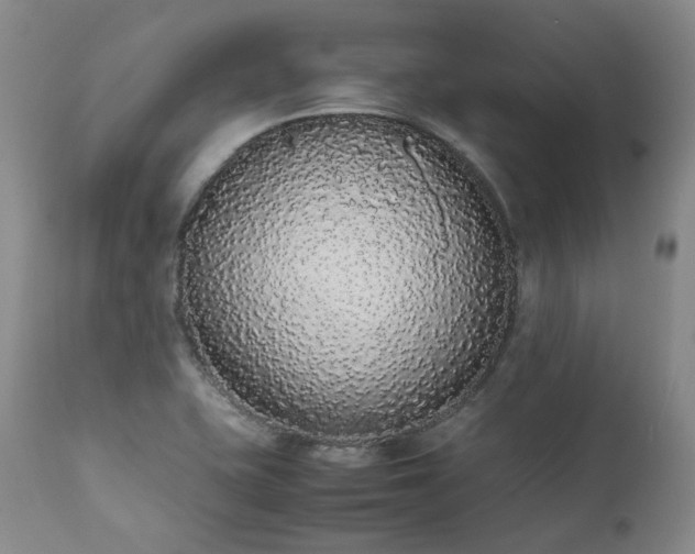 X0000111451415200907131318