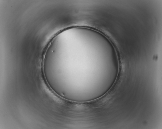 X0000111451416200907131318