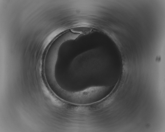 X0000111451418200907131318