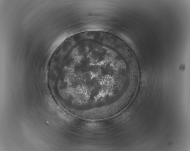 X0000111451419200907131318