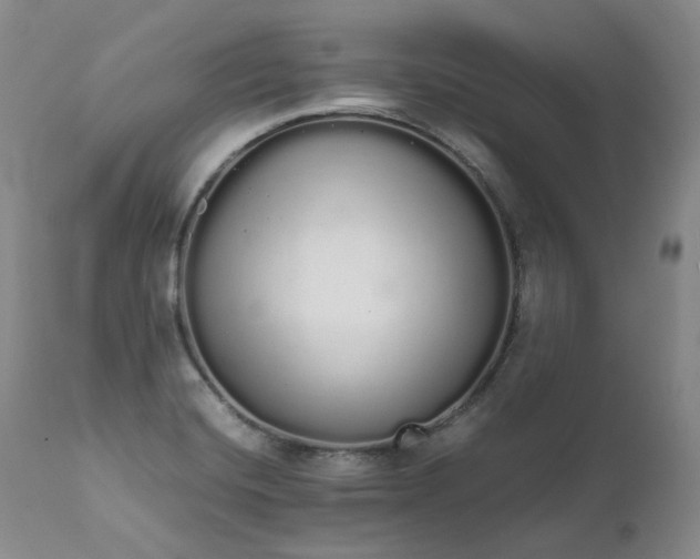 X0000111451420200907131319