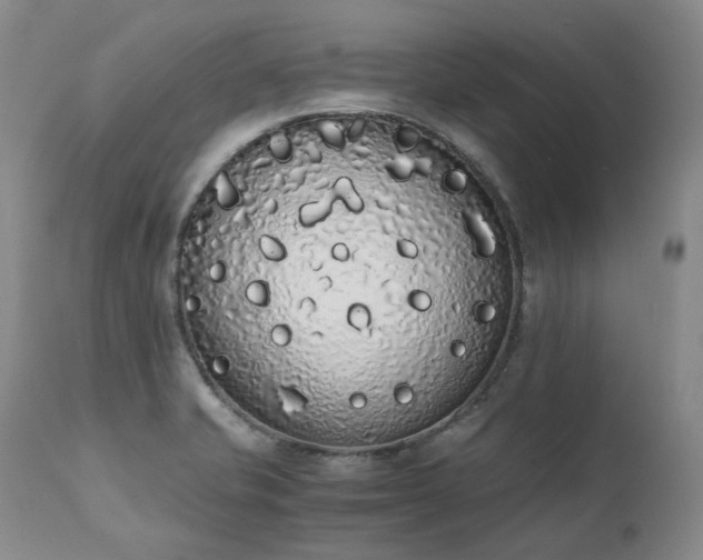 X0000111451421200907131319