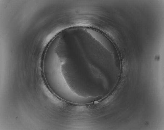 X0000111451422200907131319