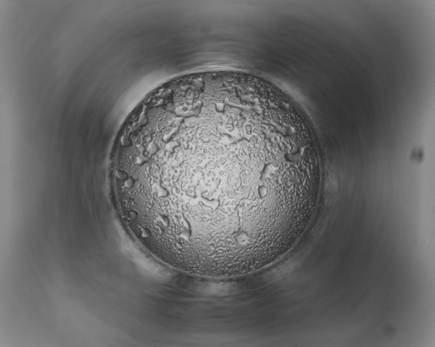 X0000111451423200907131319