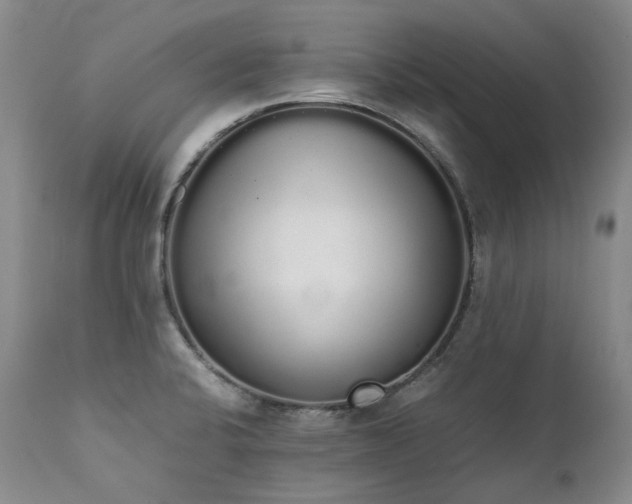 X0000111451424200907131319