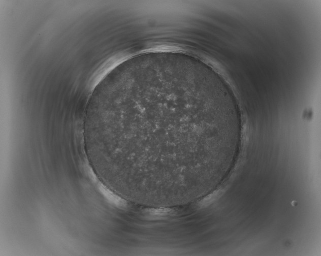 X0000111451425200907131319