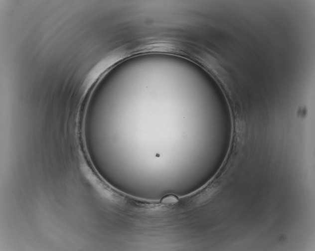 X0000111451426200907131319