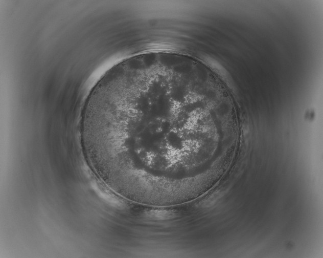 X0000111451427200907131319