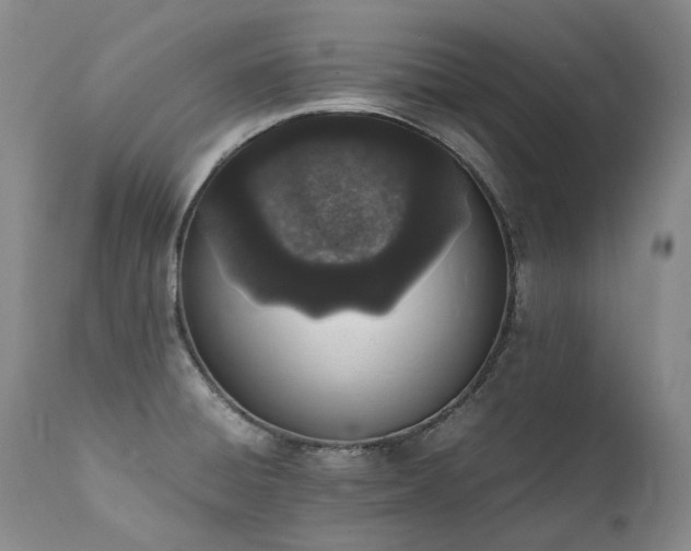 X0000111451428200907131319