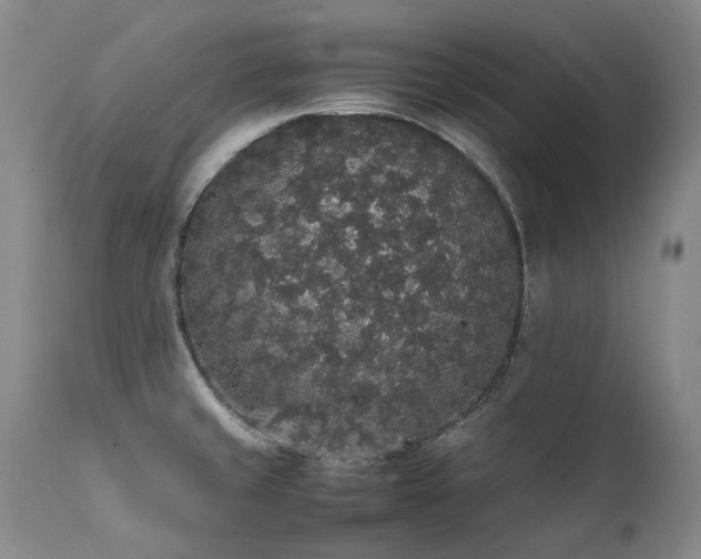X0000111451429200907131319
