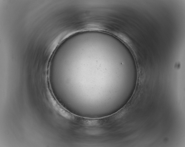 X0000111451431200907131319