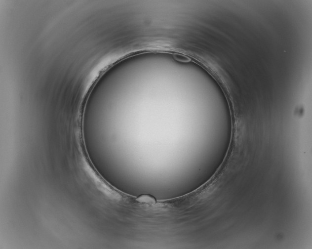 X0000111451432200907131319