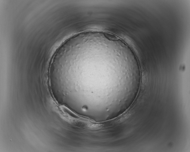 X0000111451435200907131319