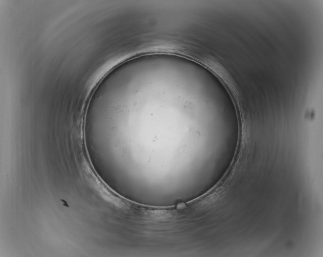 X0000111451436200907131319