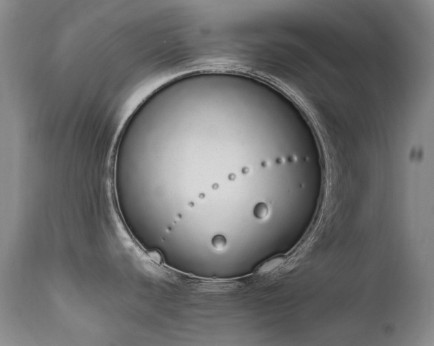 X0000111451440200907131319