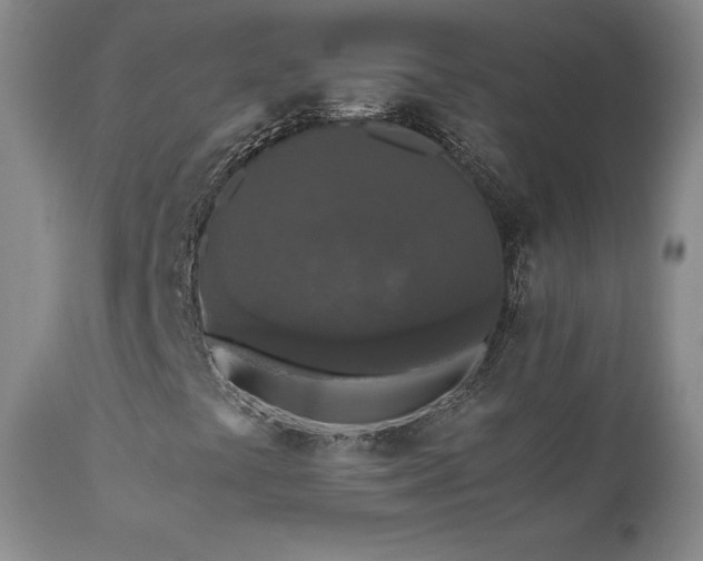 X0000111451441200907131318
