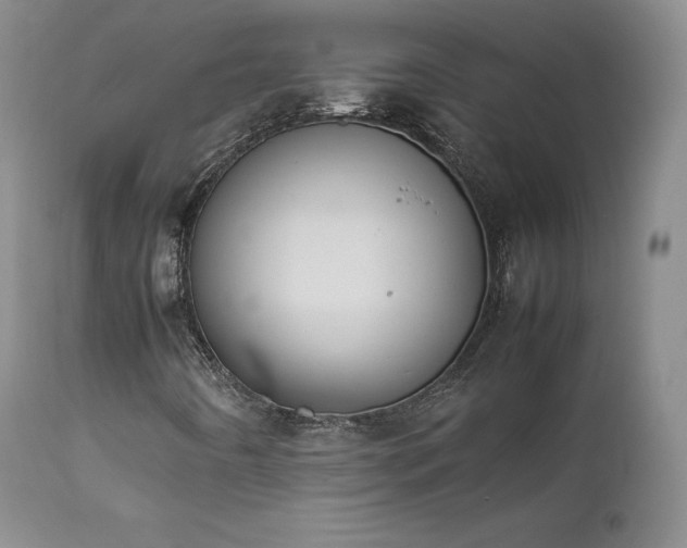 X0000111451442200907131318