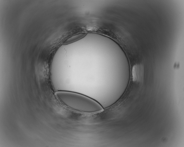 X0000111451443200907131318