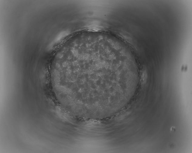 X0000111451446200907131318