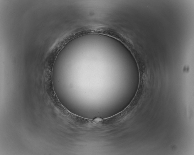 X0000111451447200907131318