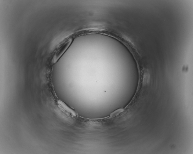 X0000111451448200907131318