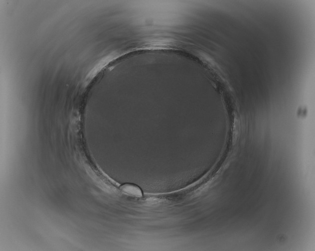 X0000111451449200907131318