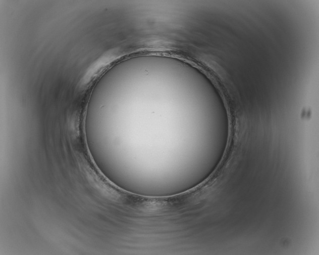 X0000111451451200907131318