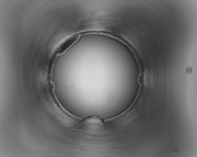 X0000111451452200907131318