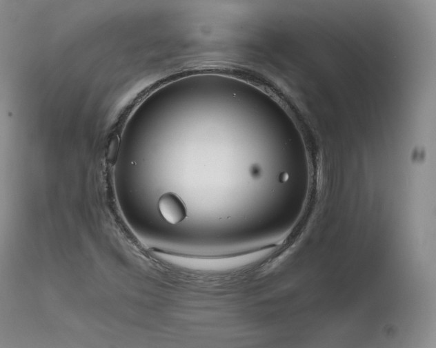 X0000111451453200907131318