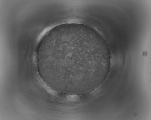 X0000111451454200907131318