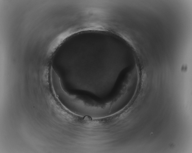 X0000111451455200907131318