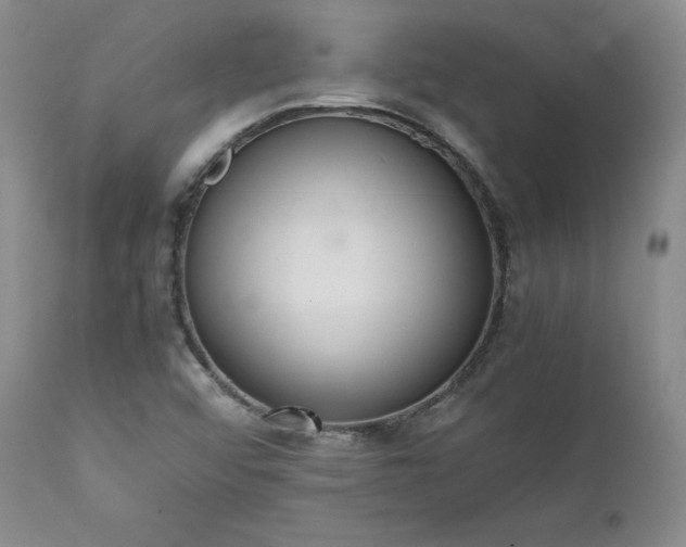 X0000111451456200907131318