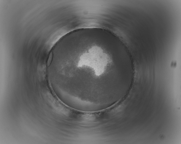 X0000111451457200907131318