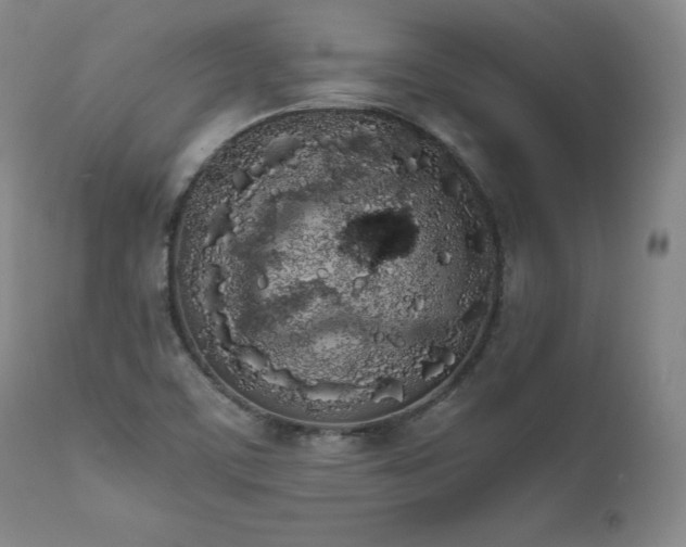 X0000111451459200907131318