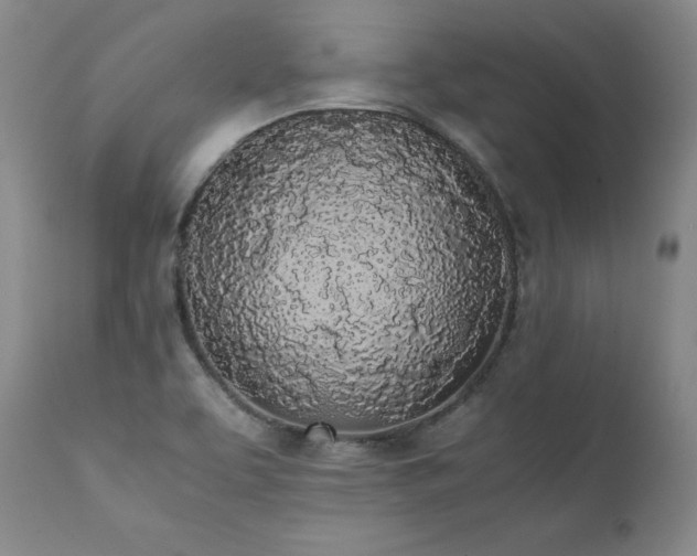 X0000111451463200907131318