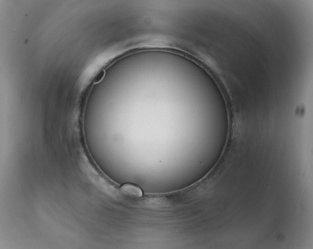 X0000111451464200907131318