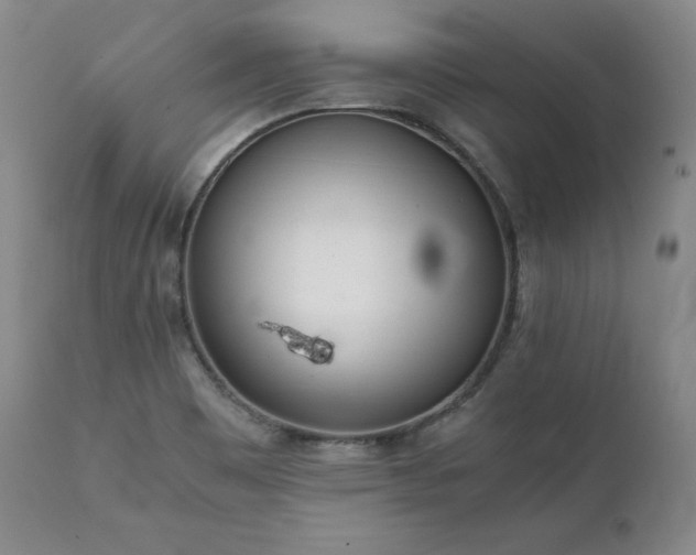 X0000111451465200907131318