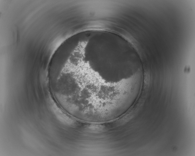 X0000111451466200907131318