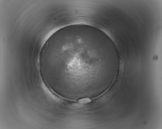 X0000111451468200907131318
