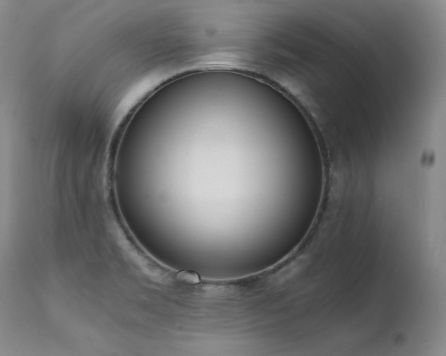 X0000111451469200907131318