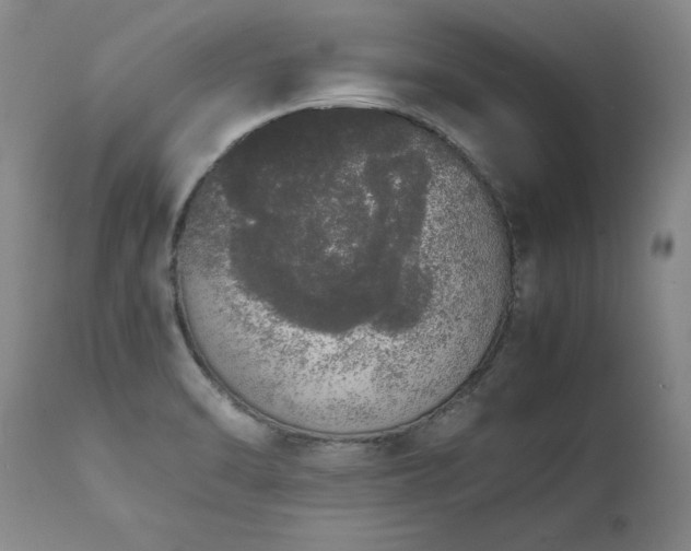X0000111451470200907131318