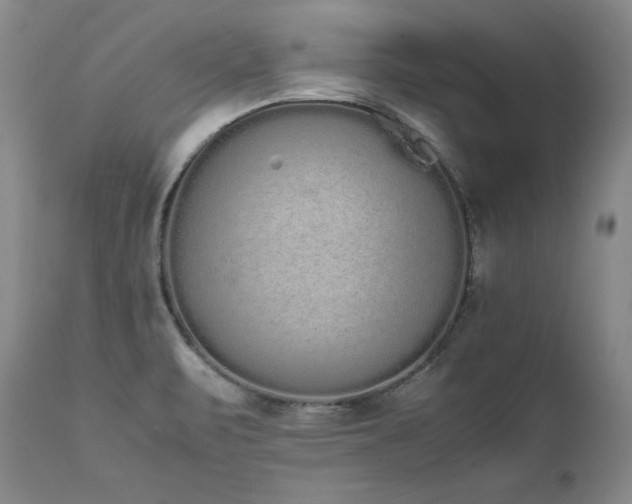 X0000111451471200907131318